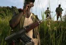 Crise en Centrafrique : les enfants soldats au cœur du conflit Crise en Centrafrique : les enfants soldats au cœur du conflit
