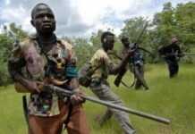 Centrafrique : panique à Bangassou, le Séléka reprend son offensive Centrafrique : panique à Bangassou, le Séléka reprend son offensive