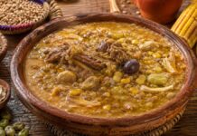 Soupe ourkimen Illustration Soupe ourkimen