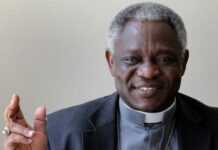 Le cardinal Peter Turkson scandalise les gays Peter Turkson