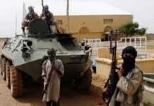 Mali : l’autruche, les Touareg et les rhinocéros