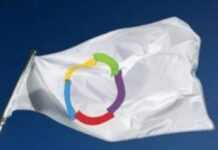 Francophonie : 50% de francophones en Afrique Francophonie : 50% de francophones en Afrique