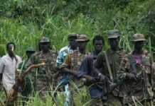 Centrafrique : la ville de Bossangoa tombe entre les mains du Séléka Centrafrique : la ville de Bossangoa tombe entre les mains du Séléka