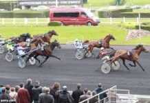 Course hippique : le Grand Prix d’Afrique à l’honneur