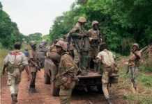 Sénégal : 12 démineurs enlevés par les rebelles du MFDC Sénégal : 12 démineurs enlevés par les rebelles du MFDC