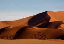 Namibie : le désert de dunes au patrimoine mondial de l’Unesco