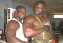 Lutte sénégalaise : Tyson de retour contre Gris Bordeaux Lutte sénégalaise : Tyson de retour contre Gris Bordeaux