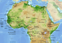 Afrique : sale temps pour les Constitutions