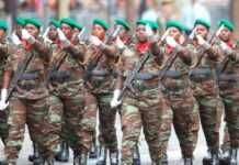 14 juillet 2013 : polémique autour du défilé des troupes africaines