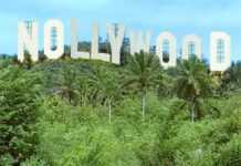 Nollywood : la chaîne qui cartonne Nollywood : la chaîne qui cartonne