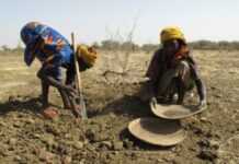 Sécheresse et famine : 800 000 Angolais pris au piège