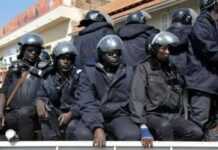 Sénégal : drogue dans la police, un Nigérian au cœur du trafic