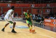 Afrobasket 2013 : début des quarts de finale, sans la Tunisie