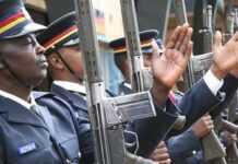 Kenya : une tête et des organes humains adressés à la police Kenya : une tête et des organes humains adressés à la police