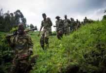 RDC : malgré une accalmie, « la situation reste précaire » dans le Kivu RDC : malgré une accalmie, « la situation reste précaire » dans le Kivu