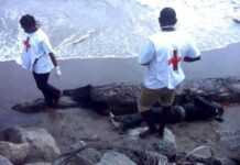 Gabon : une femme assassinée et jetée sur la plage de Libreville