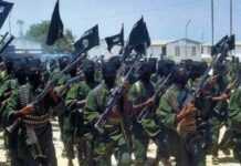 Somalie : l’ONU appelle à lutter contre les shebabs