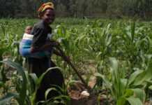 RDC : modernité sans développement ?
