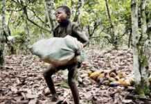 Le Gabon lance la traque aux trafiquants d’enfants