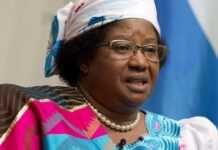 Malawi : Joyce Banda sous la coupe de l’Union européenne?