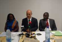 Gabon : vers un premier vaccin contre le paludisme Gabon : vers un premier vaccin contre le paludisme