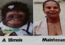 Polémique : une candidate du Front National compare Christiane Taubira à un singe
