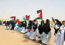 Sahara occidental : le Washington Times apporte son grain de sable
