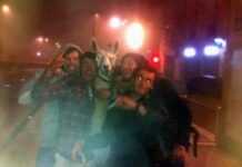 Les promeneurs de lama dans le tramway, stars à Bordeaux Les promeneurs de lama dans le tramway, stars à Bordeaux