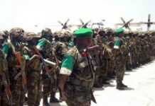 Une force africaine d’intervention bientôt sur pied Une force africaine d’intervention bientôt sur pied