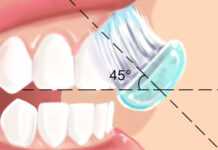 Santé bucco-dentaire : seuls deux brossages quotidiens suffisent Santé bucco-dentaire : seuls deux brossages quotidiens suffisent