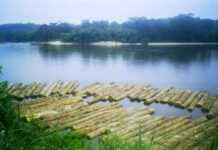 49e session du CIBT : le Gabon décline ses priorités 49e session du CIBT : le Gabon décline ses priorités