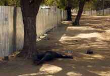 Soudan du Sud : non-respect du cessez-le-feu, Bor croule sous les combats Soudan du Sud : non-respect du cessez-le-feu, Bor croule sous les combats