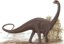 Des dinosaures découverts en Arabie !