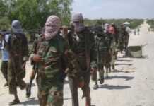Somalie : 30 shebabs tués dans une frappe aérienne Somalie : 30 shebabs tués dans une frappe aérienne