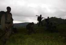 RDC : le M23 dément la reprise de sa lutte armée RDC : le M23 dément la reprise de sa lutte armée