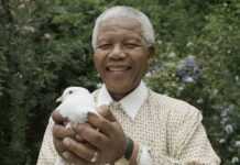 Afrique du Sud : Mandela débarque au Musée de Cire de Rome !
