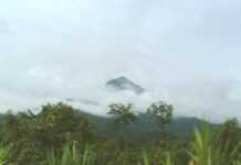 Repenser le développement rural participatif et décentralisé au Cameroun