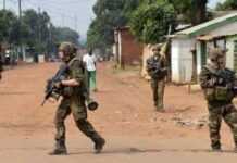 Centrafrique : le président élu ce lundi, les tueries se poursuivent