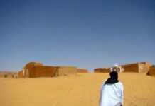 Mauritanie : liberté et principe de précaution