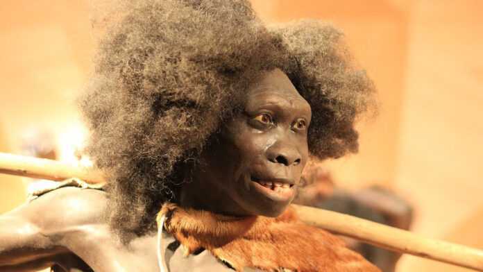 Mujer neandertal