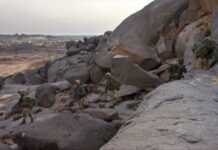 Mali : les djihadistes de retour dans le nord du pays Mali : les djihadistes de retour dans le nord du pays