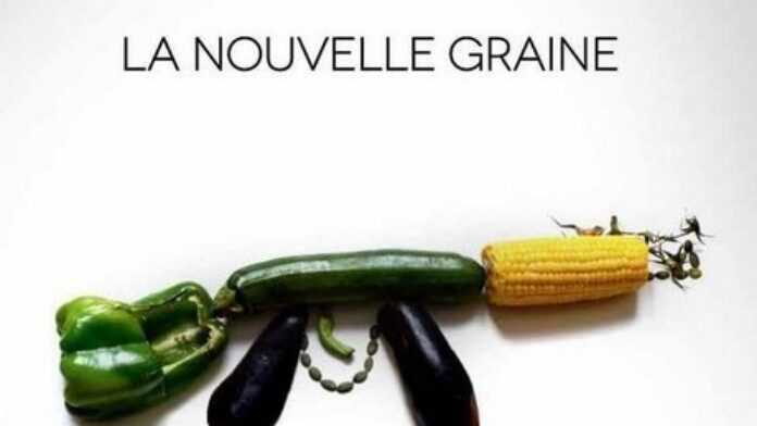 la_nouvelle_graine.jpg