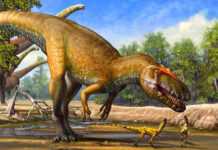 Dinosaure