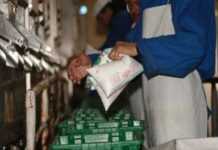 Algérie : trafic de lait en poudre, 10 laiteries épinglées