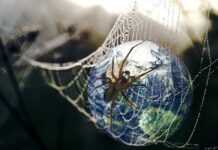 Le Web célèbre ses 25 ans ce 12 mars 2014 ! Le Web célèbre ses 25 ans ce 12 mars 2014 !