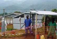 Le Virus Ebola frappe la capitale Conakry ! Le Virus Ebola frappe la capitale Conakry !