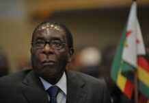 Sommet UE-Afrique : le Zimbabwe annule sa participation suite au refus du visa de l’épouse de Mugabe