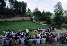 Génocide rwandais : 20 ans de « justice des vainqueurs » Génocide rwandais : 20 ans de « justice des vainqueurs »