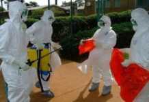 Epidémie Ebola en Guinée : 98 décès sur 151 cas détectés ! Epidémie Ebola en Guinée : 98 décès sur 151 cas détectés !
