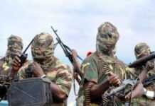 Nigeria : 8 morts dont 7 policiers dans une série d’attaques islamistes